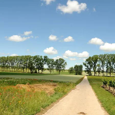 Winzerhotel Kinges-kessel 3*