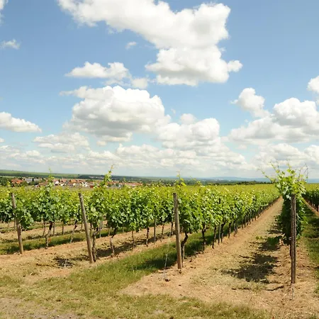 Hotell Winzerhotel Kinges-kessel Morstadt