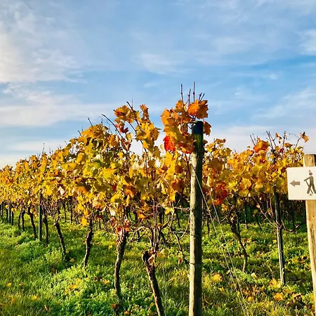 Winzerhotel Kinges-kessel